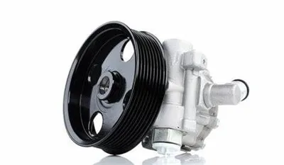 Mercedes-Benz 0064663601 Servostyrningspump